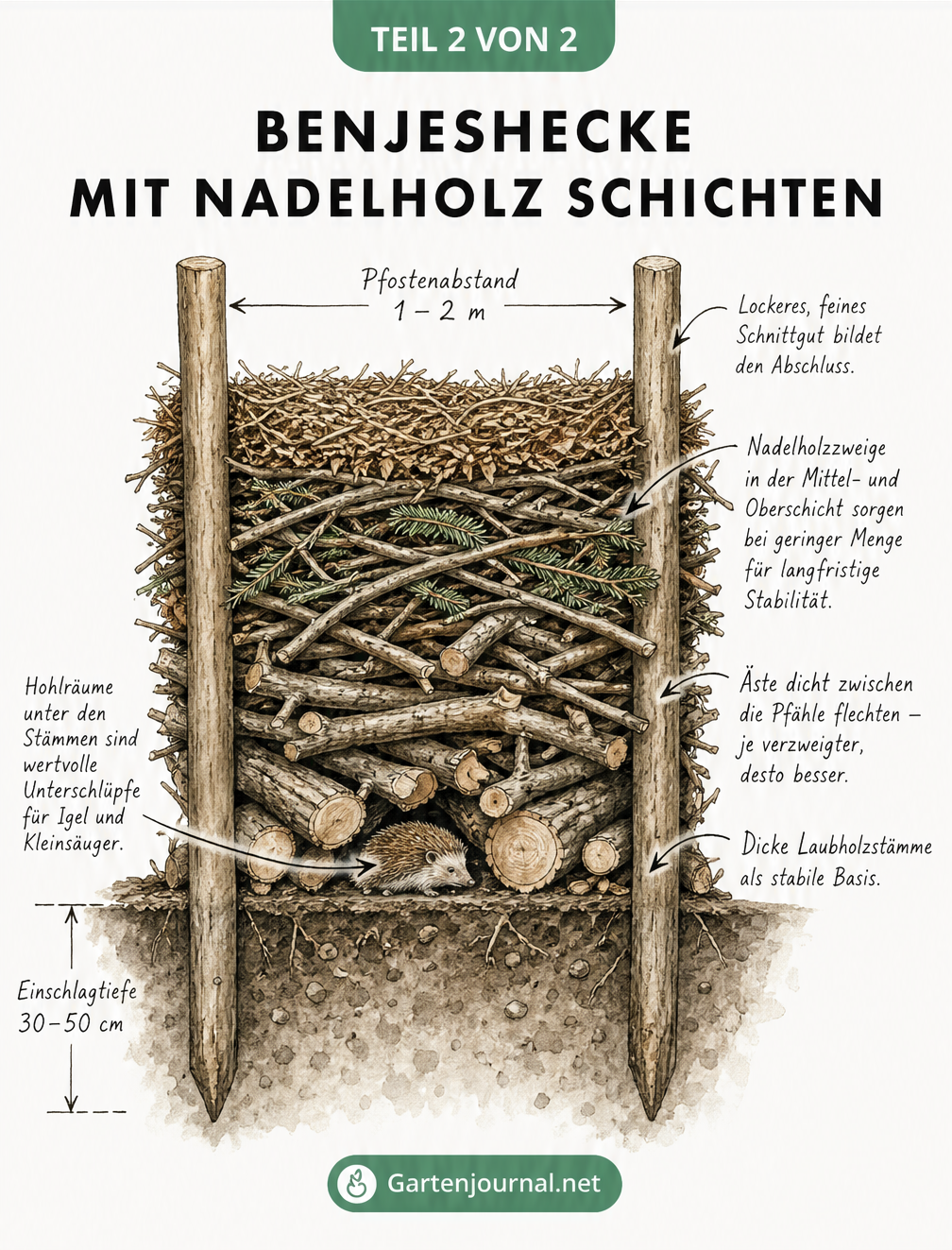 Längsschnitt einer Benjeshecke im Aufbau mit Holzpfählen und geschichteten Ästen