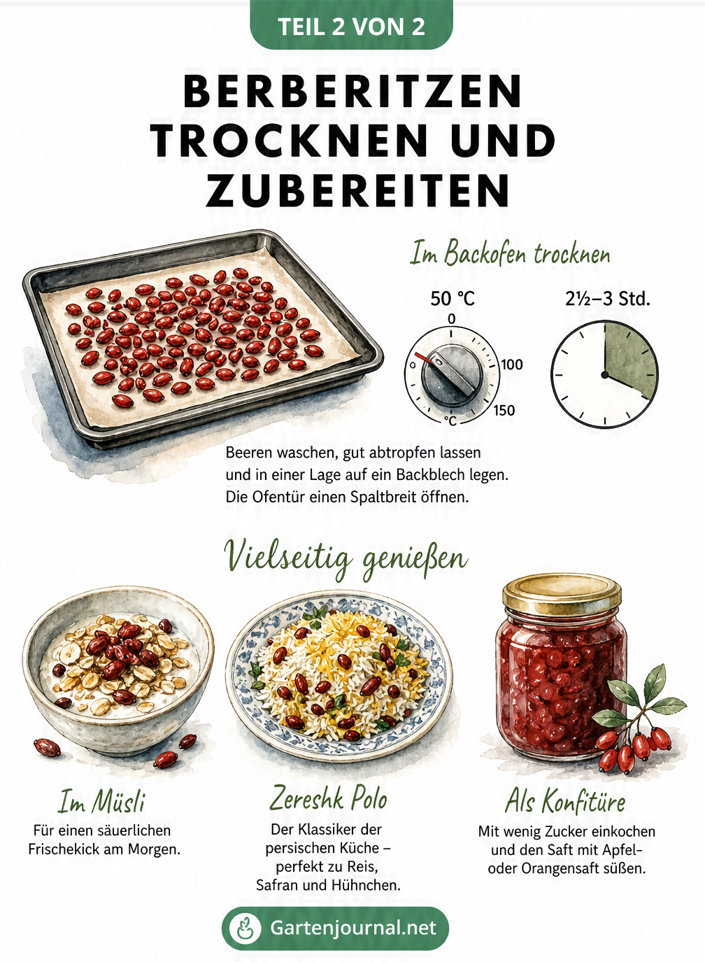 Illustration zum Trocknen von Berberitzen im Backofen und deren Verwendung in Müsli, Reis und Marmelade