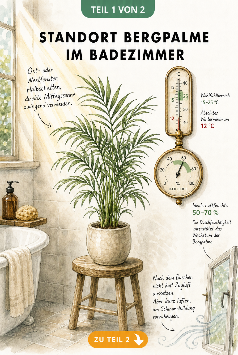 Aquarell-Zeichnung einer Bergpalme im Badezimmer mit Hinweisen zu Licht, Temperatur und Luftfeuchtigkeit