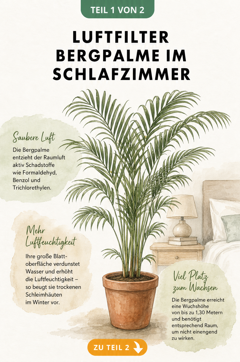 Illustration einer Bergpalme im Schlafzimmer mit Textblöcken zu Luftreinigung, Luftfeuchtigkeit und Wuchshöhe