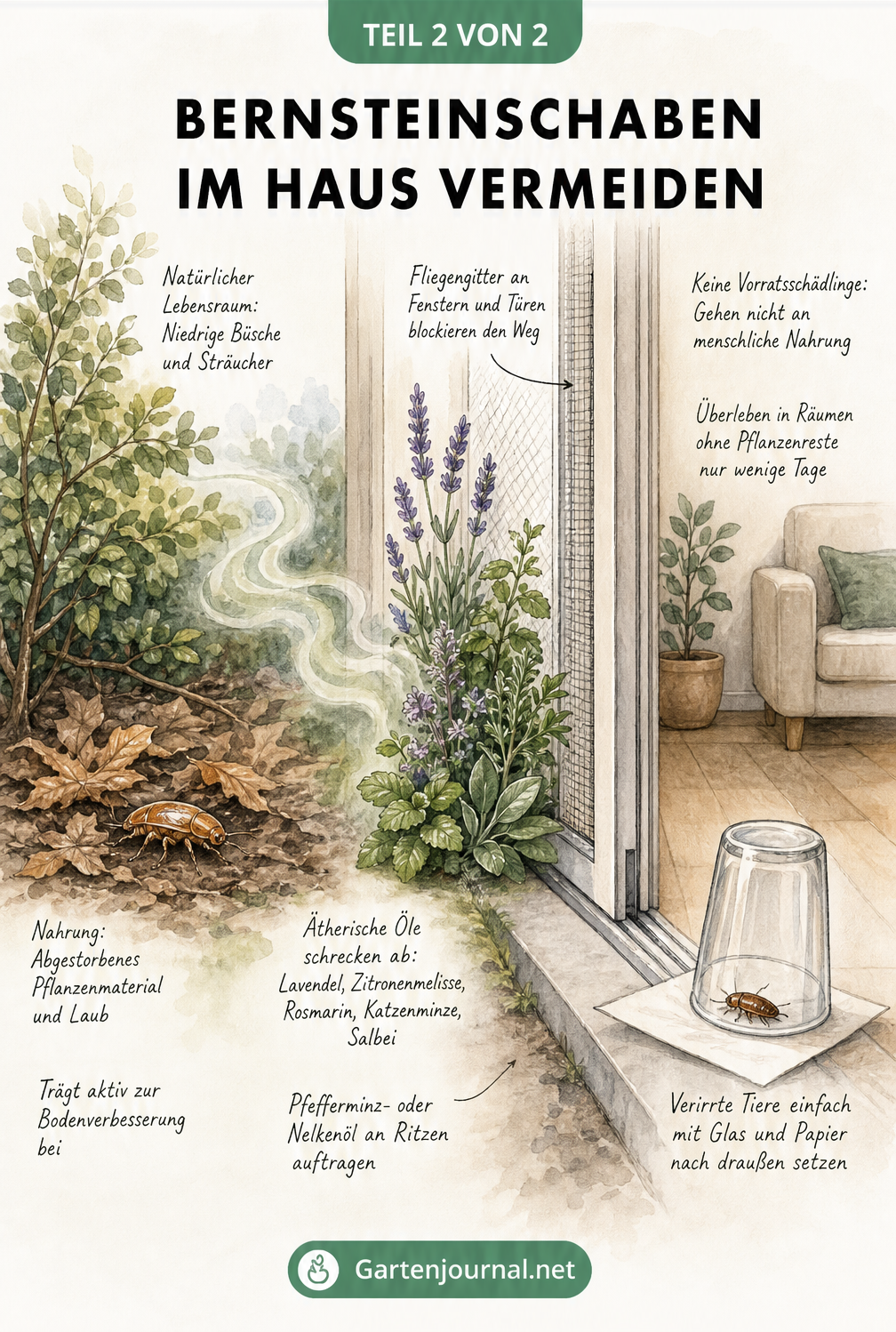 Aquarell-Illustration einer Terrassentür mit Tipps zur Vermeidung von Bernsteinschaben im Haus
