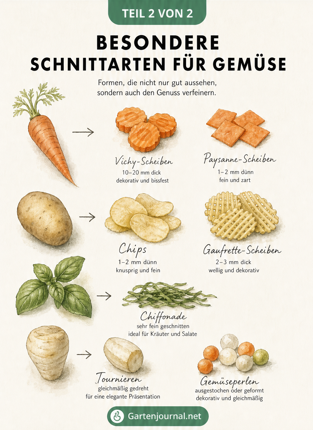Illustration besonderer Gemüseschnitte wie Vichy-Scheiben, Paysanne, Gaufrette, Chiffonade und Tournieren.