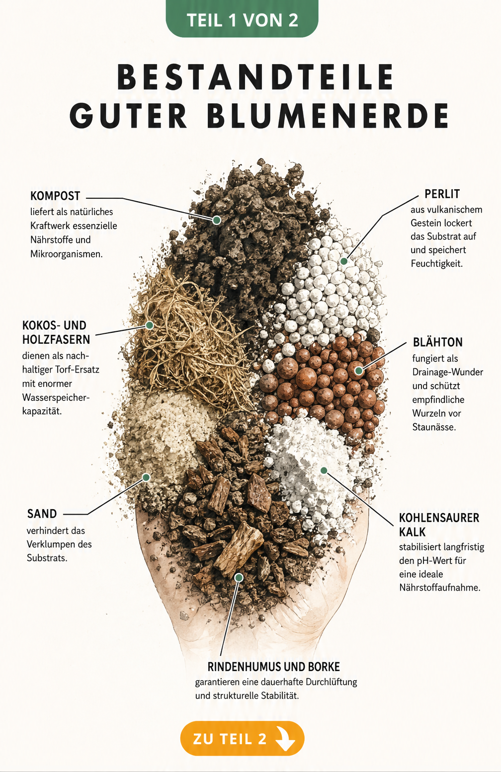 Detaillierte Illustration einer Handvoll Blumenerde mit Beschriftungen der einzelnen Bestandteile wie Kompost, Perlit, Blähton, Kokosfasern, Kalk, Rindenhumus...