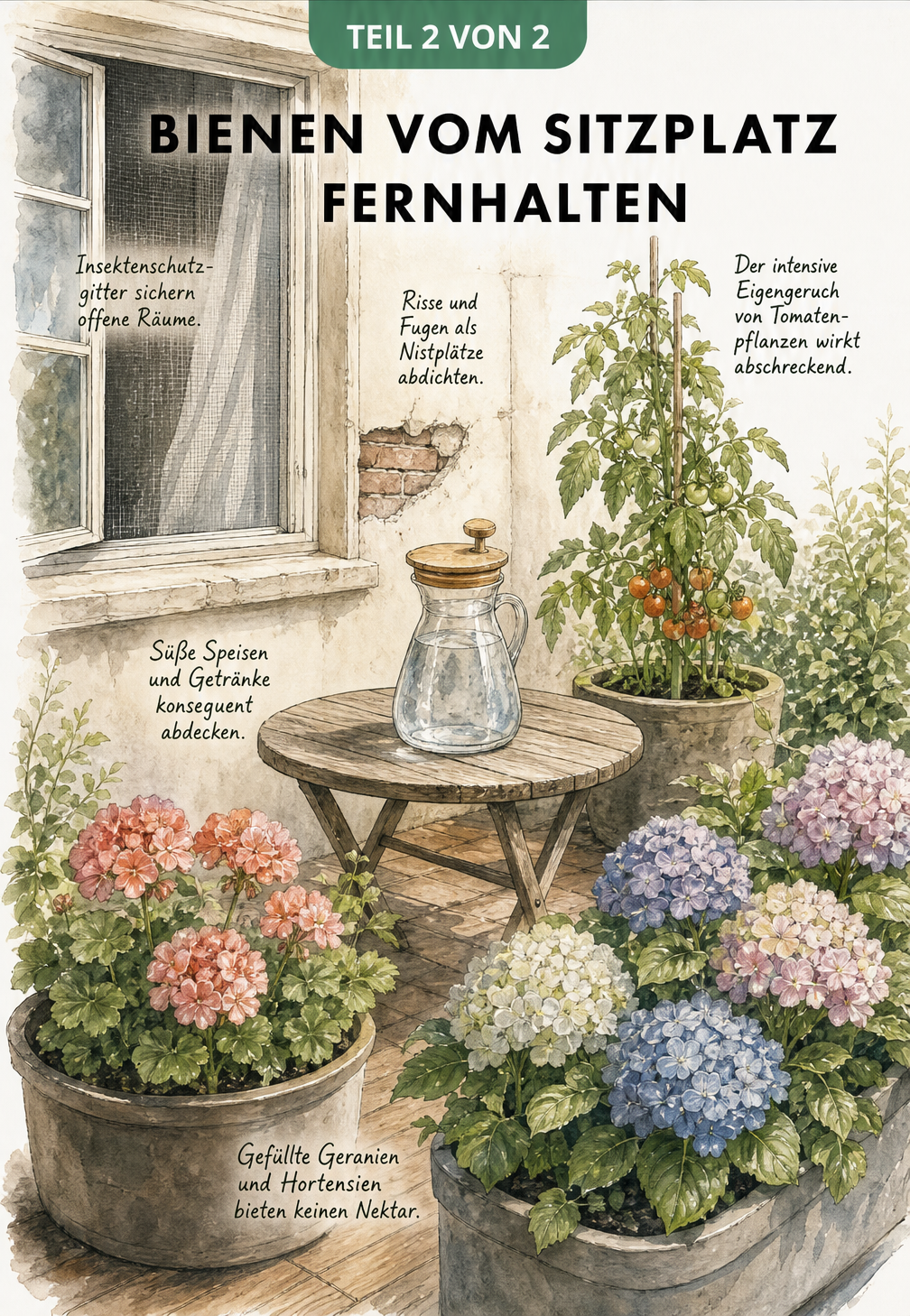 Skizze einer Terrasse mit Insektenschutzgitter, abgedeckten Getränken und bienenunfreundlichen Pflanzen wie Geranien und Tomaten.