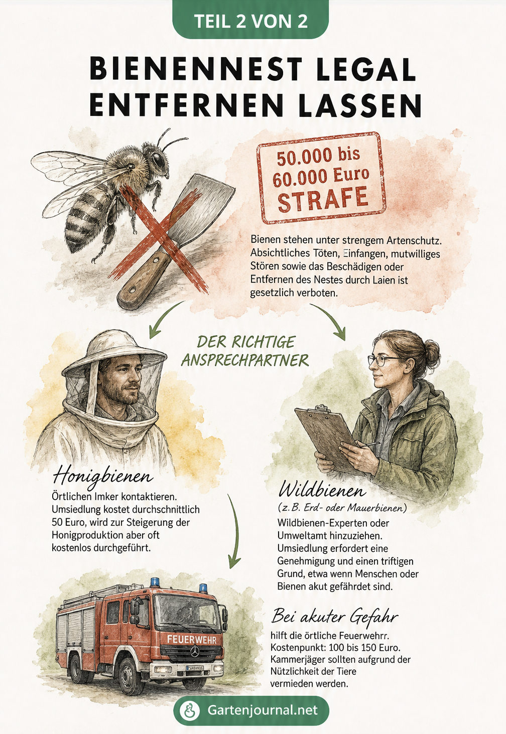 Übersicht zur legalen Entfernung von Bienennestern mit Hinweisen zu Strafen, Imkern, Wildbienen-Experten und der Feuerwehr