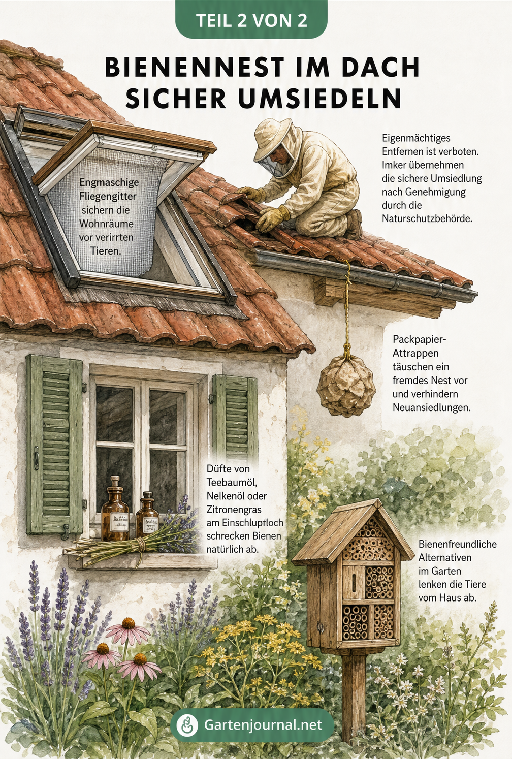 Hausgiebel mit Maßnahmen zur sicheren Umsiedlung und Vorbeugung von Bienennestern