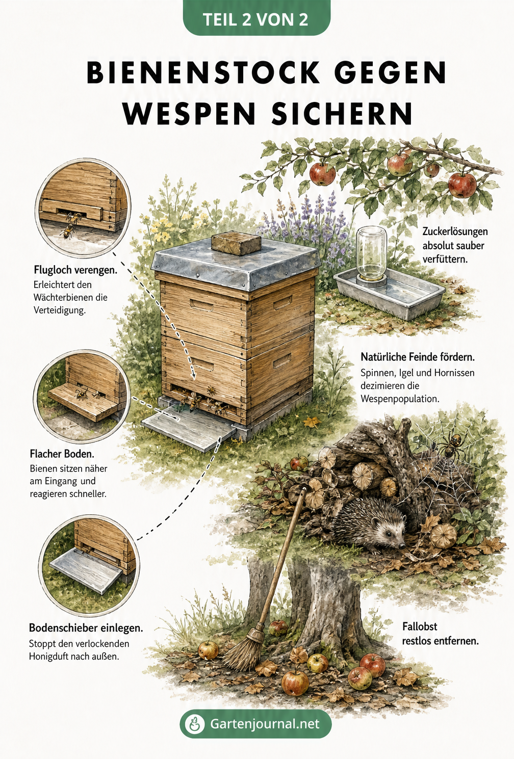 Isometrische Zeichnung eines Bienenstocks mit mechanischen Schutzmaßnahmen gegen Wespen wie verengtem Flugloch und Bodenschieber