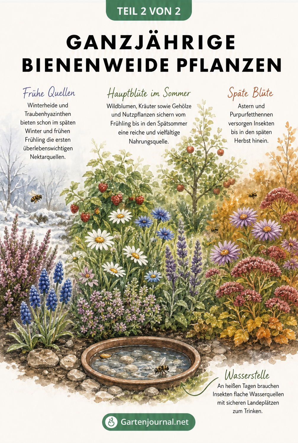 Aquarellierte Gartenlandschaft, die den Übergang von Winterheide über sommerliche Wildblumen bis hin zu herbstlichen Astern zeigt, inklusive einer flachen...