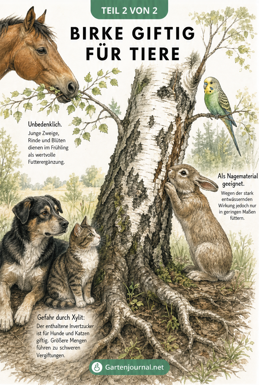 Illustration eines Birkenstamms mit Hund, Katze, Kaninchen, Wellensittich und Pferd, die die Wirkung von Birken auf verschiedene Tiere zeigt.