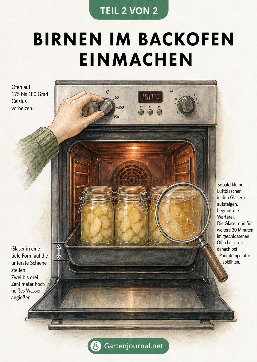 Illustration eines Backofens mit Einmachgläsern in einer Fettpfanne im Wasserbad