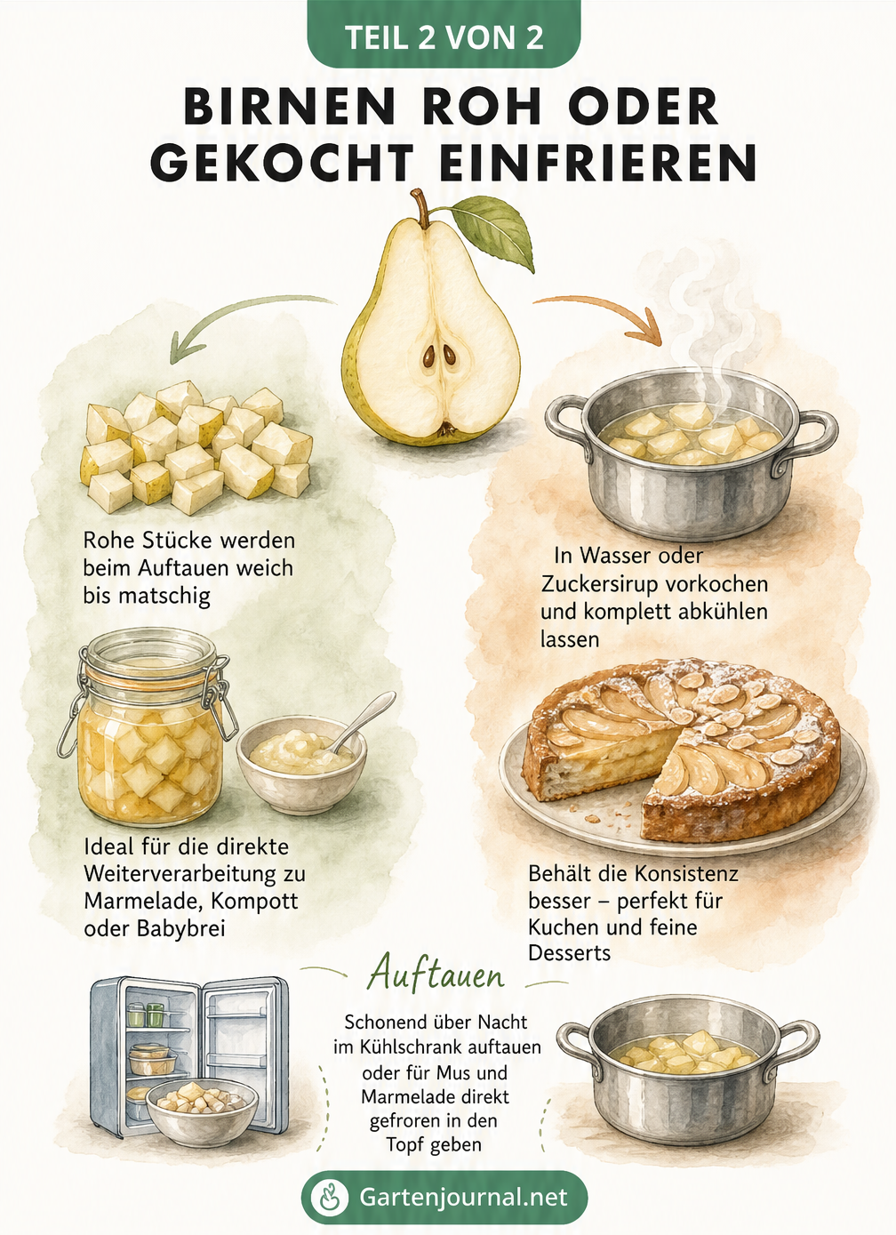Illustration, die den Unterschied zwischen roh und gekocht eingefrorenen Birnen zeigt, inklusive Auftau-Tipps.
