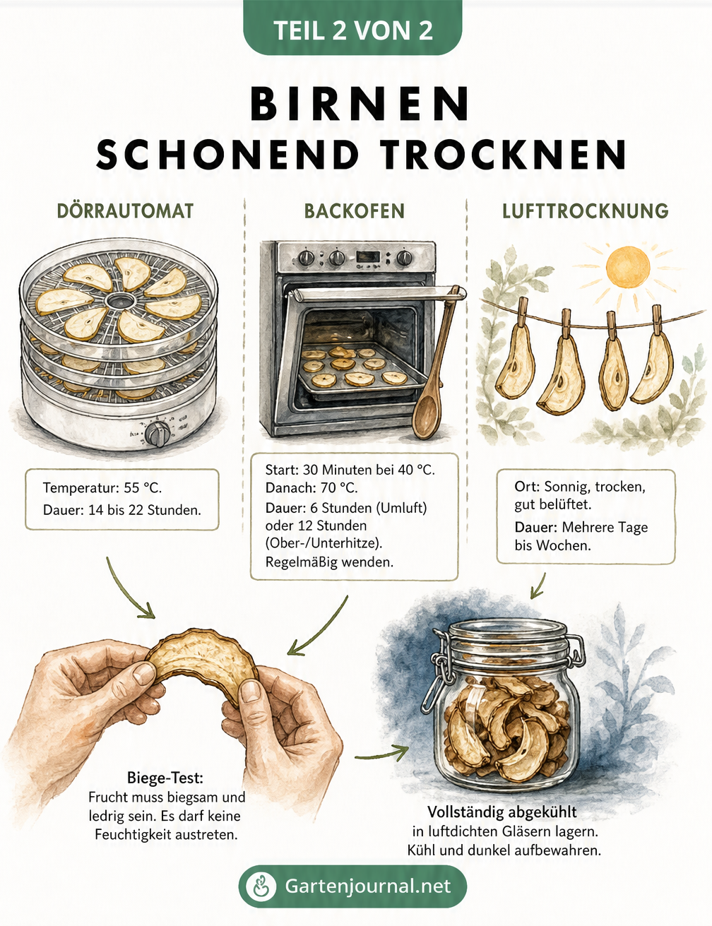 Vergleich von drei Methoden zum Trocknen von Birnen: Dörrautomat, Backofen und Lufttrocknung, inklusive Temperatur- und Zeitangaben sowie Biege-Test und...