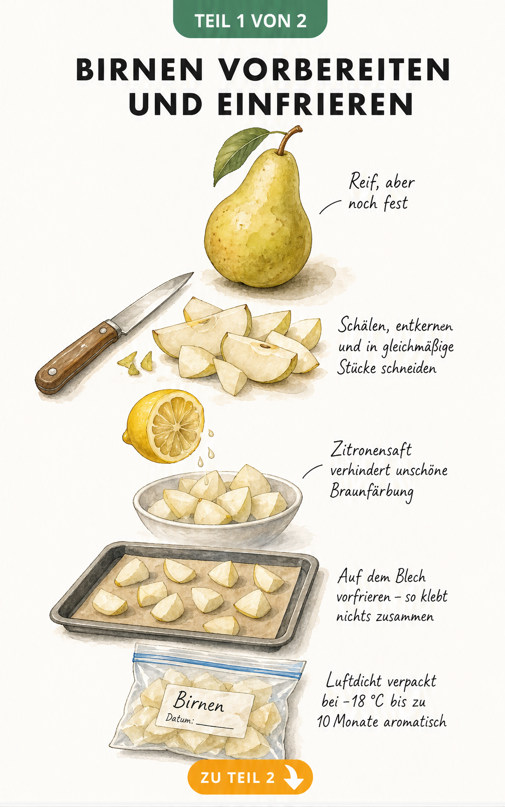 Illustration einer Birne, die geschält, entkernt und in Spalten geschnitten wird, mit Zitronensaft beträufelt und auf einem Blech vorgefroren wird.