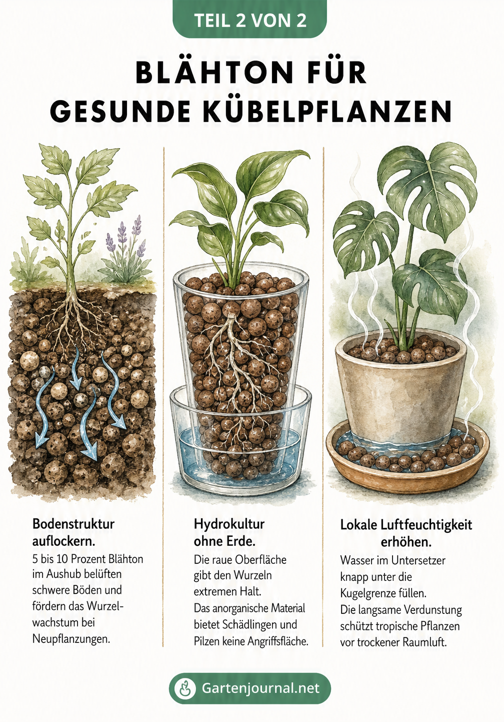 Drei Illustrationen zur Wirkung von Blähton: Bodenauflockerung, Hydrokultur und Erhöhung der Luftfeuchtigkeit