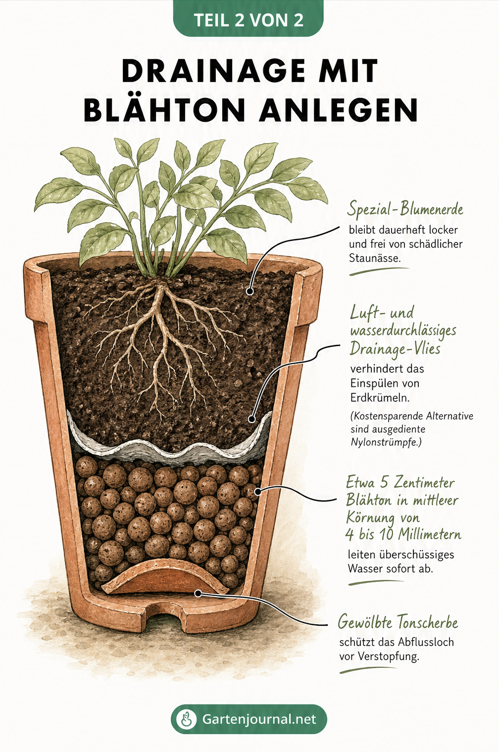 Schnittzeichnung eines Blumentopfs mit Blähton-Drainage