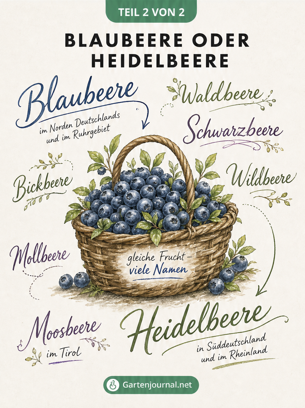 Typografische Landkarte mit regionalen Bezeichnungen für Blaubeeren und Heidelbeeren