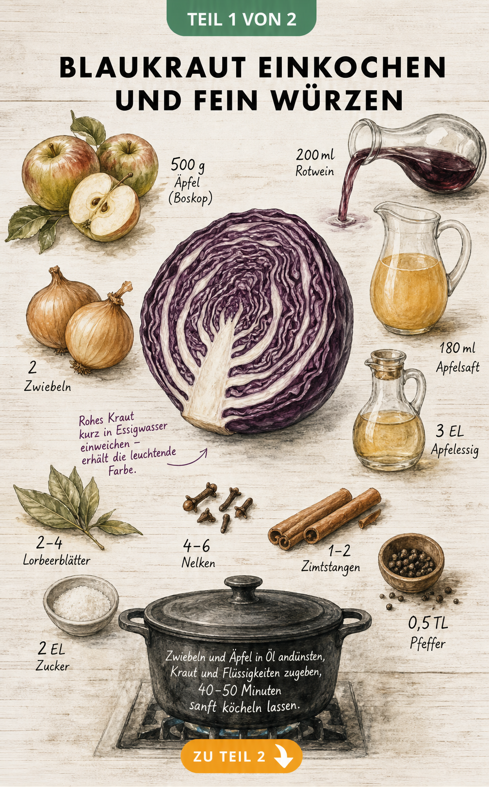 Illustration eines halben Rotkohls mit Äpfeln, Zwiebeln, Gewürzen und Flüssigkeiten auf einem Holztisch