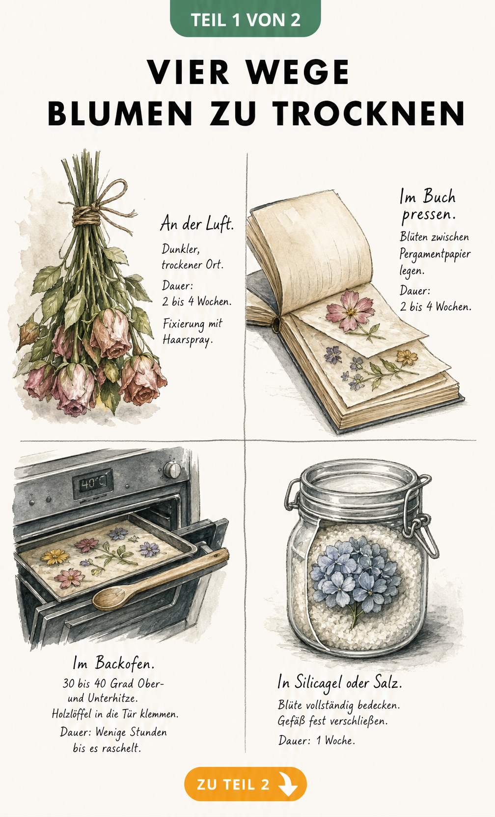 Vier Methoden zum Blumen trocknen: An der Luft, im Buch, im Backofen und in Silicagel
