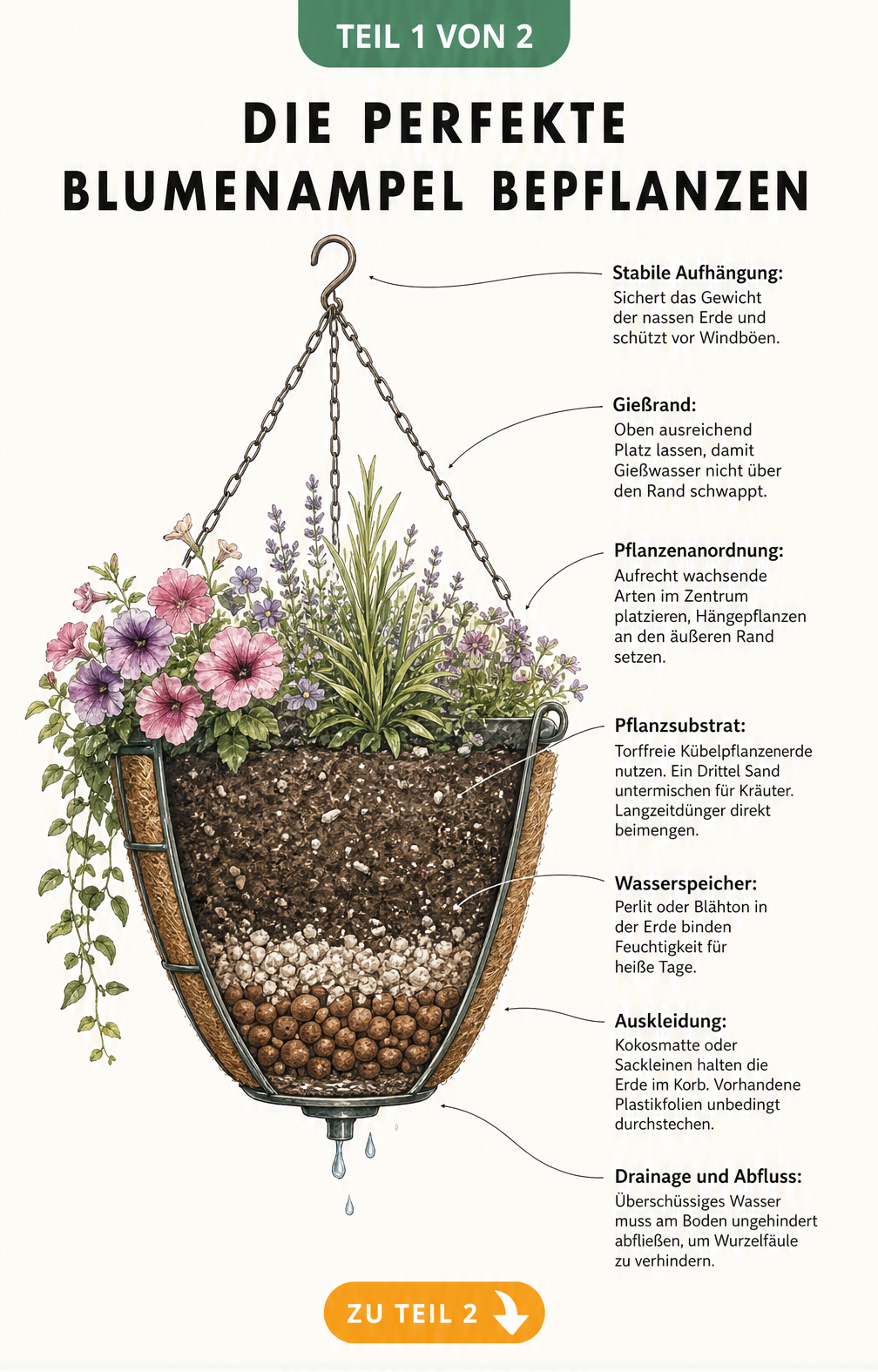 Querschnitt einer hängenden Blumenampel mit Schichten von der Aufhängung bis zur Drainage