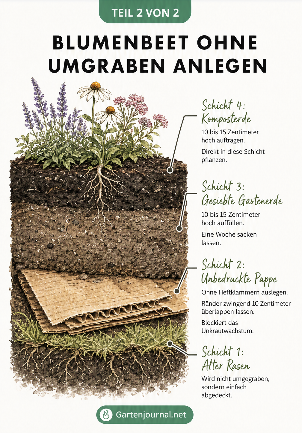 Erdprofil eines Blumenbeets, das ohne Umgraben mit Pappe, Gartenerde und Kompost angelegt wird