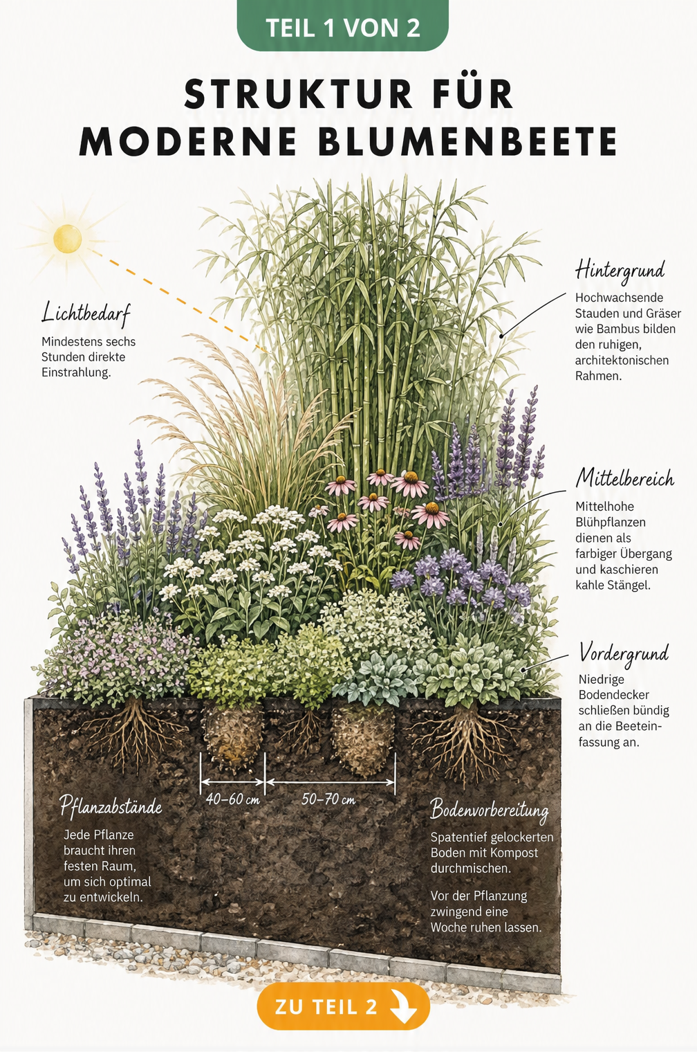Handgezeichneter Querschnitt eines Blumenbeets mit drei Tiefenzonen, Lichtbedarf und Bodenvorbereitung