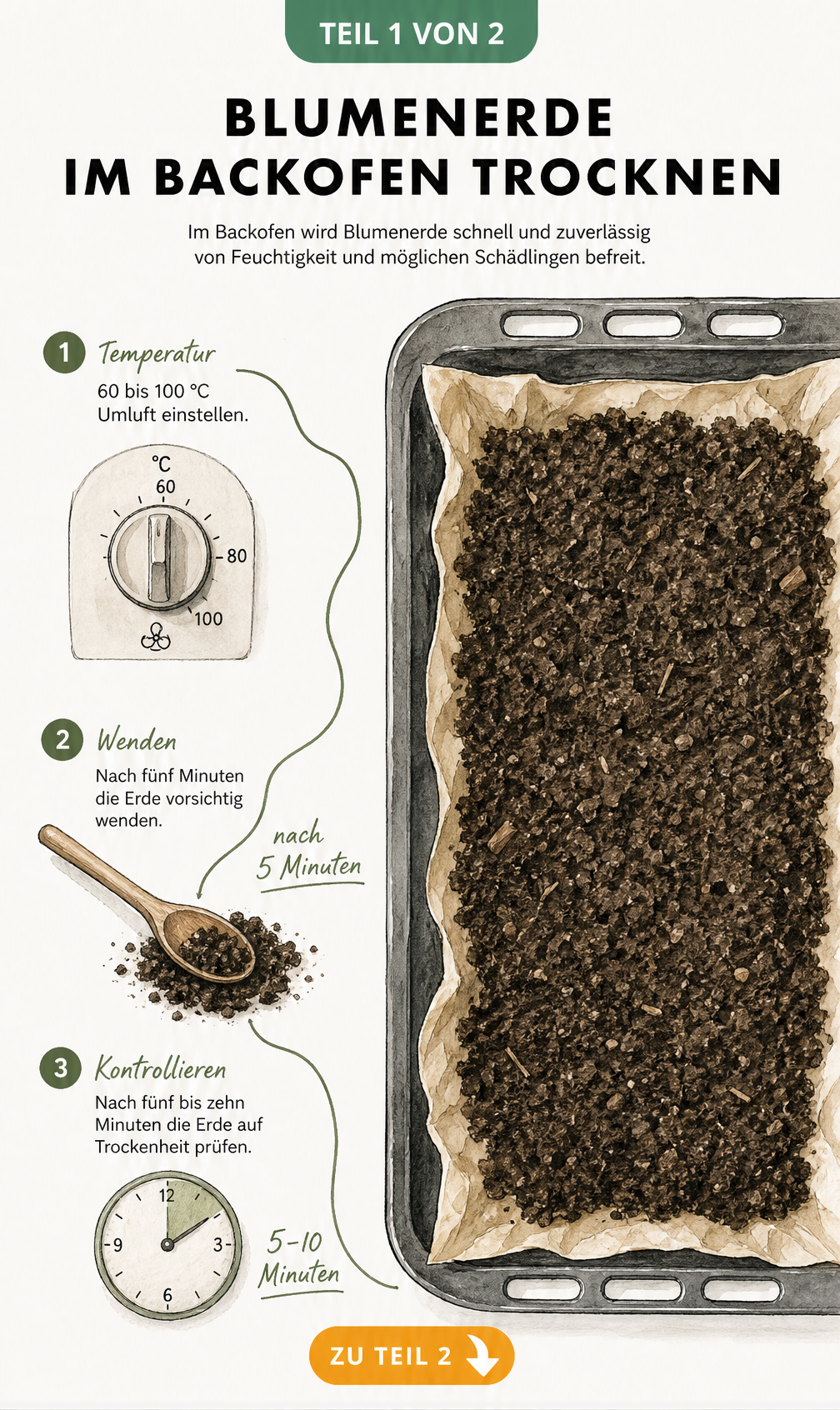 Illustration von Blumenerde auf einem Backblech mit Temperaturangabe 60 bis 100 Grad Umluft