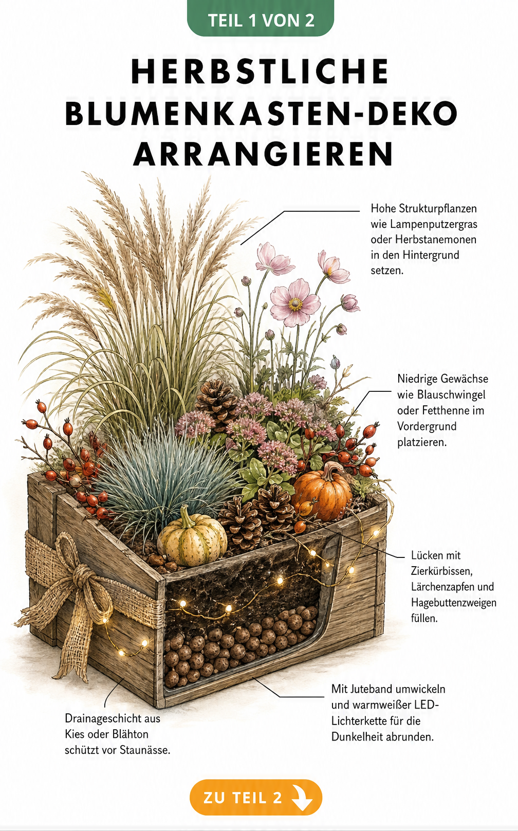 Illustration eines herbstlich bepflanzten Blumenkastens mit Gräsern, Fetthenne, Zierkürbissen und Lichterkette
