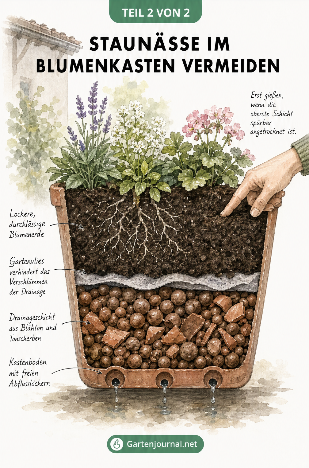 Querschnitt eines Blumenkastens mit idealem Schichtaufbau aus Blähton, Gartenvlies und Blumenerde