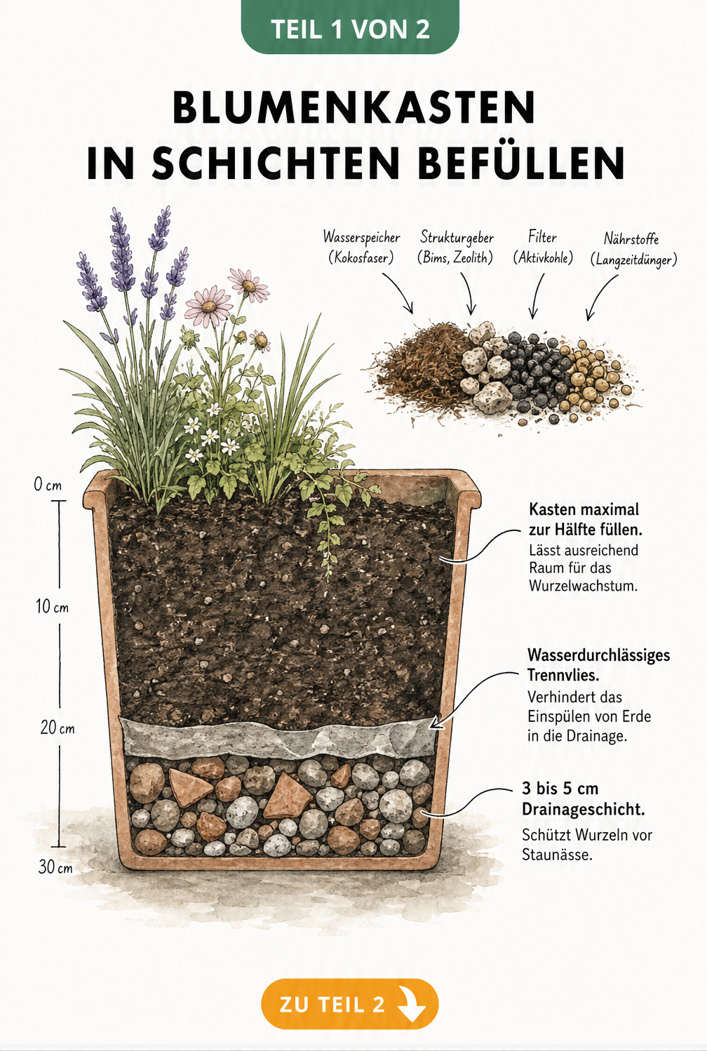 Querschnitt eines Blumenkastens mit Drainageschicht, Trennvlies und torffreiem Substrat