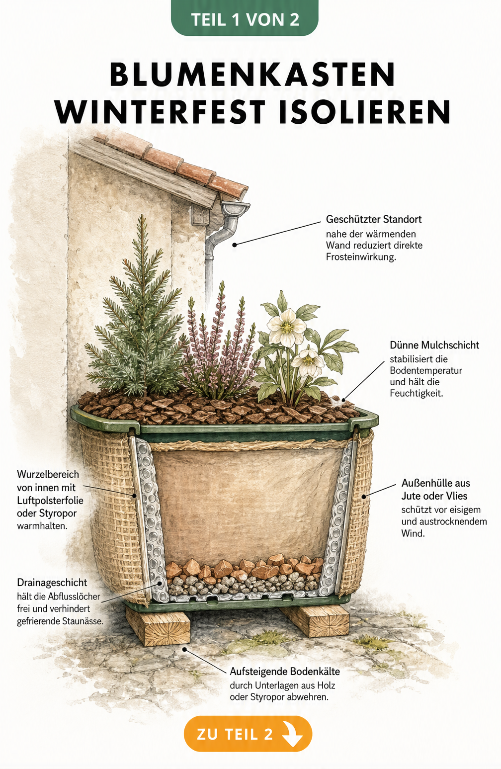 Querschnitt-Zeichnung eines bepflanzten Blumenkastens mit Isolierung durch Noppenfolie, Jute, Rindenmulch und Drainage