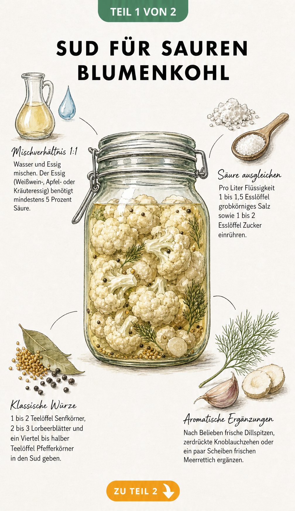 Illustration eines Einmachglases mit Blumenkohl und den Zutaten für den perfekten Sud wie Essig, Wasser, Salz, Zucker und Gewürzen