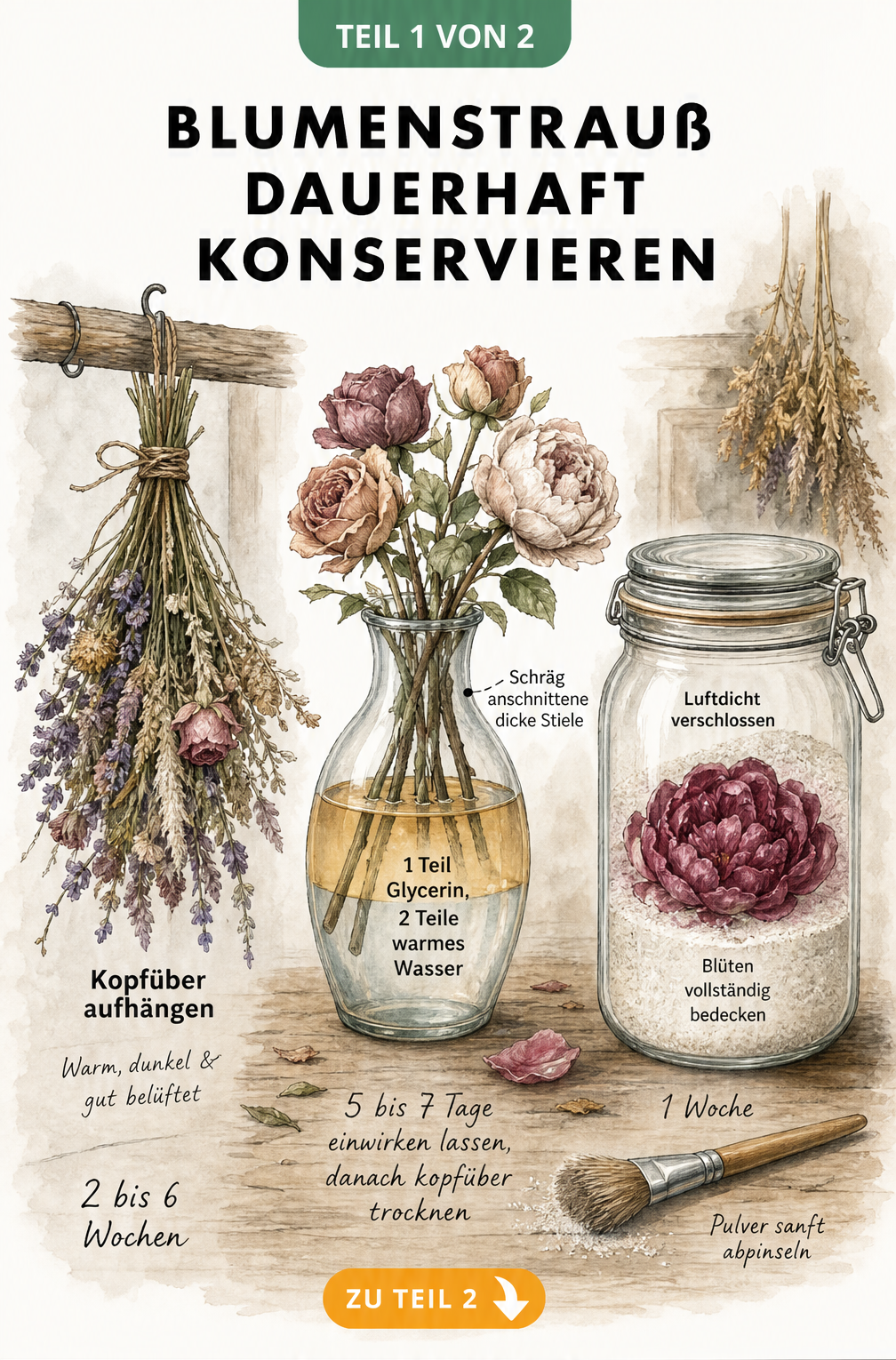 Illustration von drei Methoden zum Konservieren von Blumensträußen: Lufttrocknung, Glycerin-Methode und Trockensalz