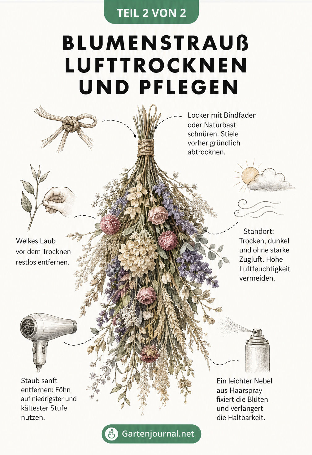 Detaillierte Illustration eines hängenden Trockenblumenstraußes mit Pflegehinweisen zur Lufttrocknung