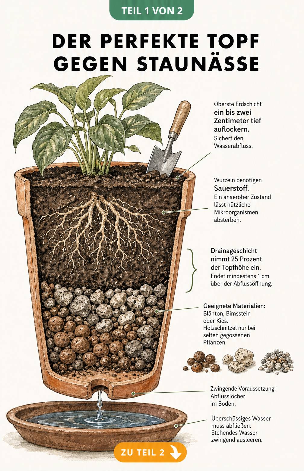Querschnitt eines Blumentopfs mit Drainageschicht, Abflussloch und lockerer Erde zur Vermeidung von Staunässe