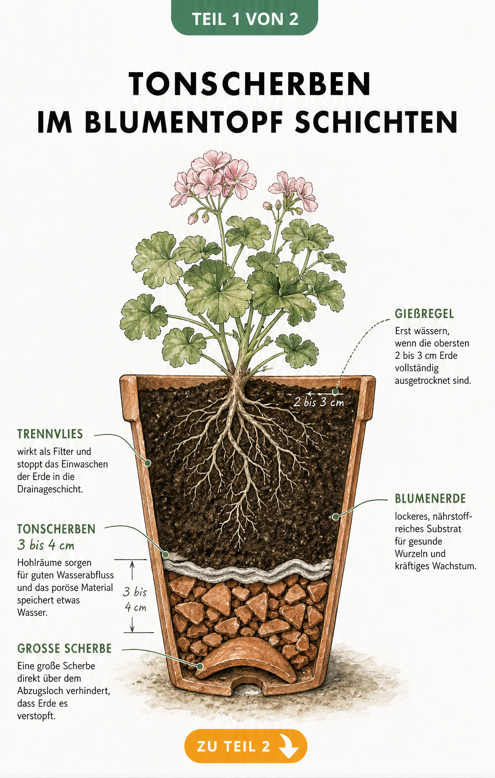 Querschnitt eines Blumentopfs mit Tonscherben als Drainage, Trennvlies und Blumenerde