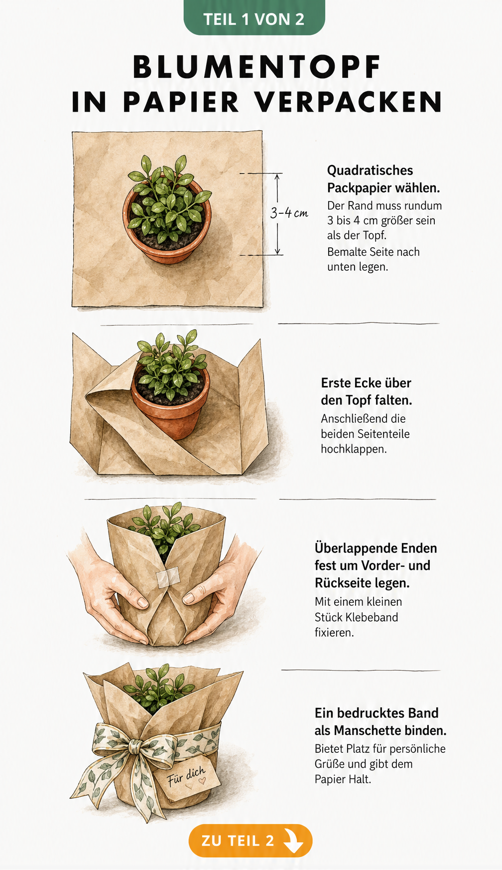 Schritt-für-Schritt-Anleitung: Blumentopf in Packpapier verpacken, falten und mit Band fixieren