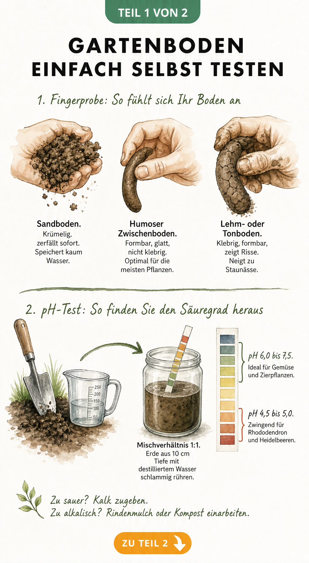 Illustration von drei Händen, die verschiedene Bodenarten wie Sandboden, humosen Boden und Lehmboden formen, sowie ein pH-Test mit Farbskala.