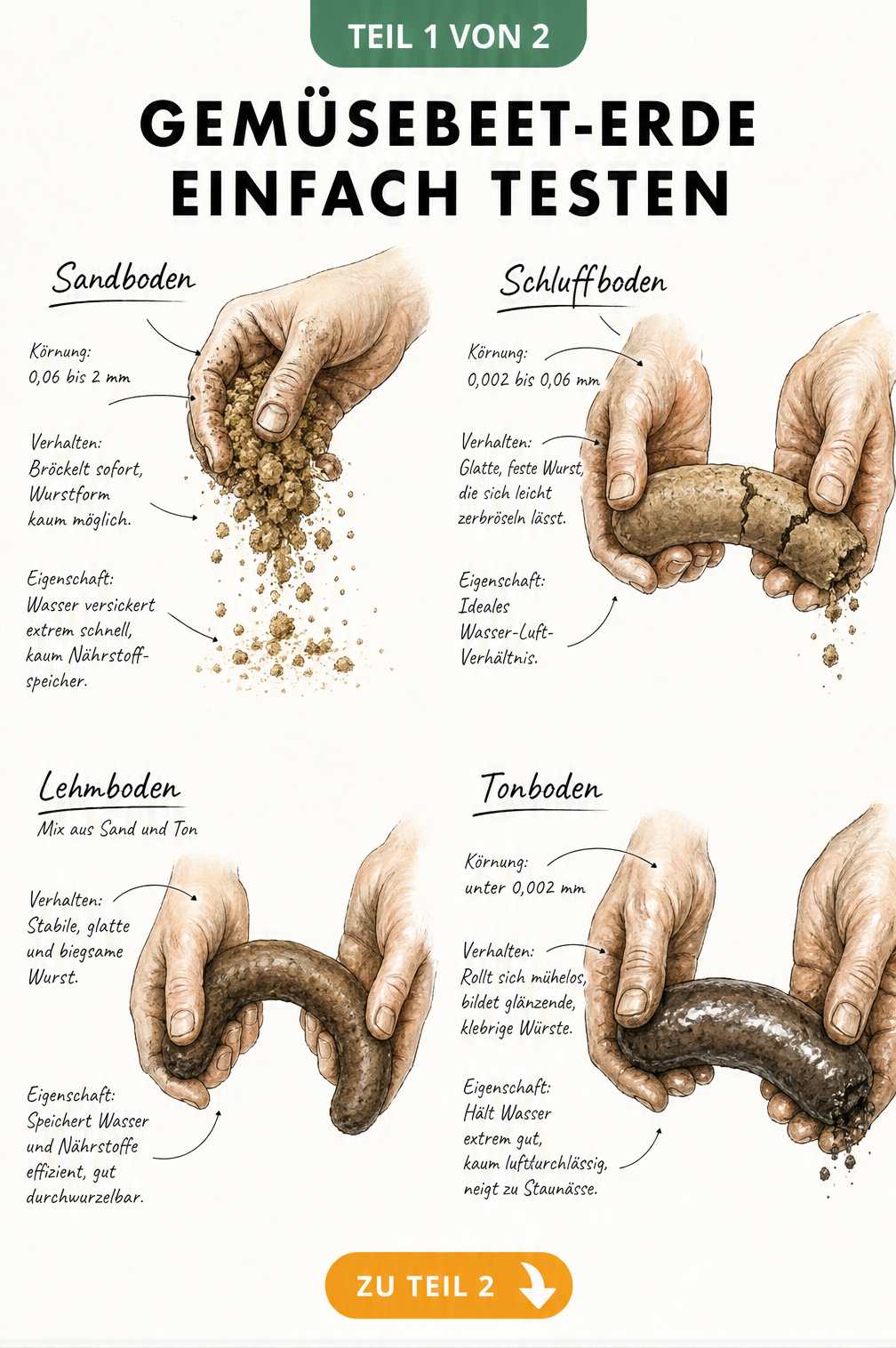 Illustration von Händen, die verschiedene Bodenarten wie Sandboden, Schluffboden, Lehmboden und Tonboden formen, um die Erdbeschaffenheit zu testen.