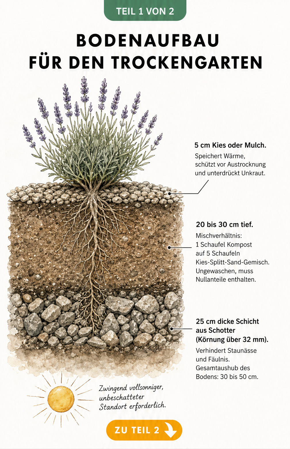 Querschnitt durch ein Gartenbeet mit drei Erdschichten für einen Trockengarten
