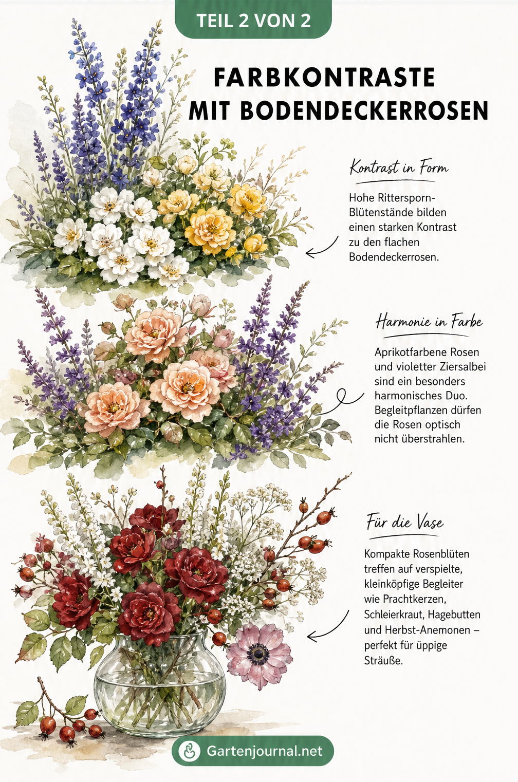 Drei Pflanzenarrangements mit Bodendeckerrosen, Rittersporn, Ziersalbei und in einer Vase