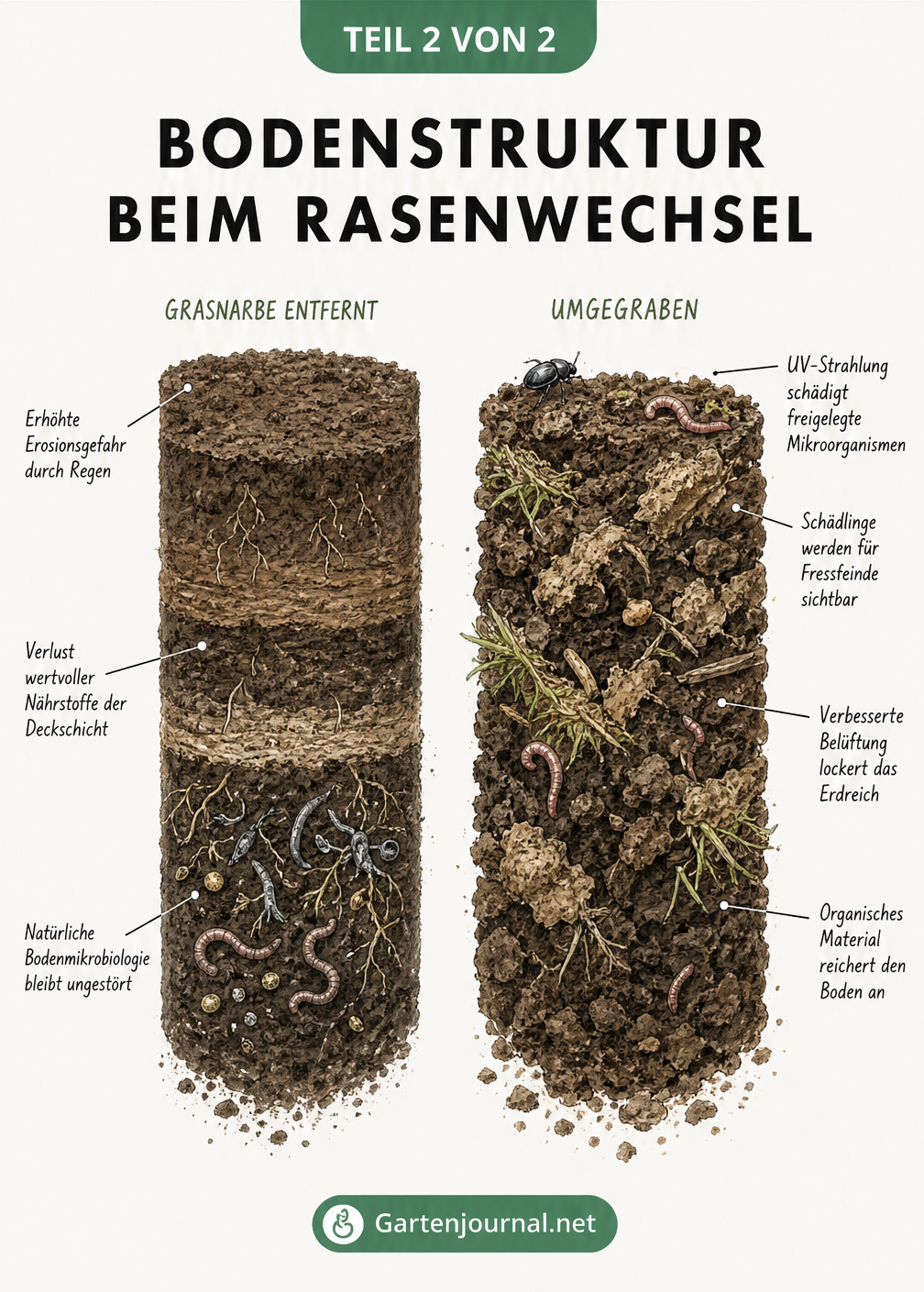 Bodenprofil beim Rasenwechsel: Auswirkungen von Entfernen und Umgraben auf die Bodenstruktur