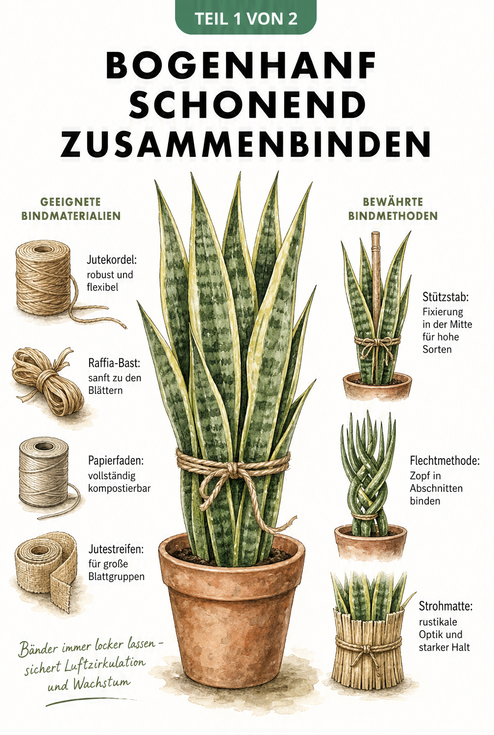 Illustration eines Bogenhanfs im Terrakotta-Topf mit Bindematerialien wie Jutekordel, Naturbast und Papierfaden sowie drei Bindemethoden.
