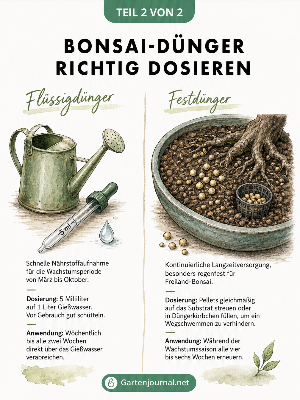 Zeichnung von Flüssigdünger mit Gießkanne und Festdünger mit Düngerkörbchen für Bonsais.