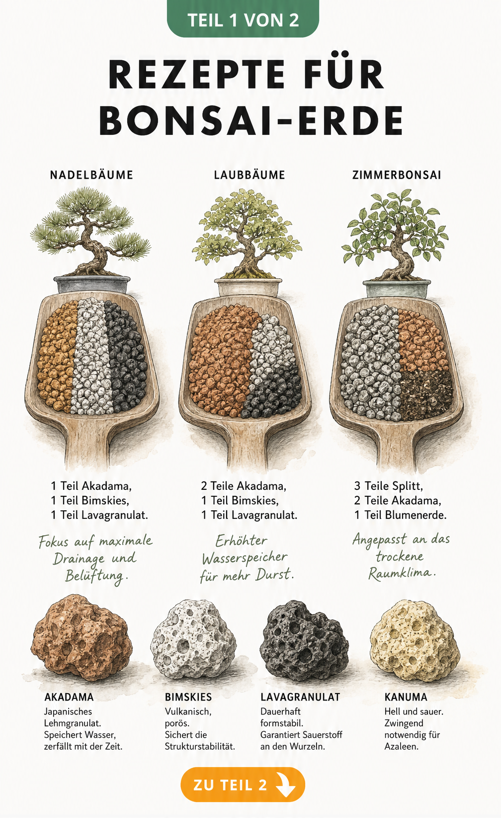 Handgezeichnete Illustration von drei Erdhügeln mit Mischungsverhältnissen für Bonsai-Erde: Nadelbäume, Laubbäume und Zimmerbonsai, sowie Details zu Akadama,...