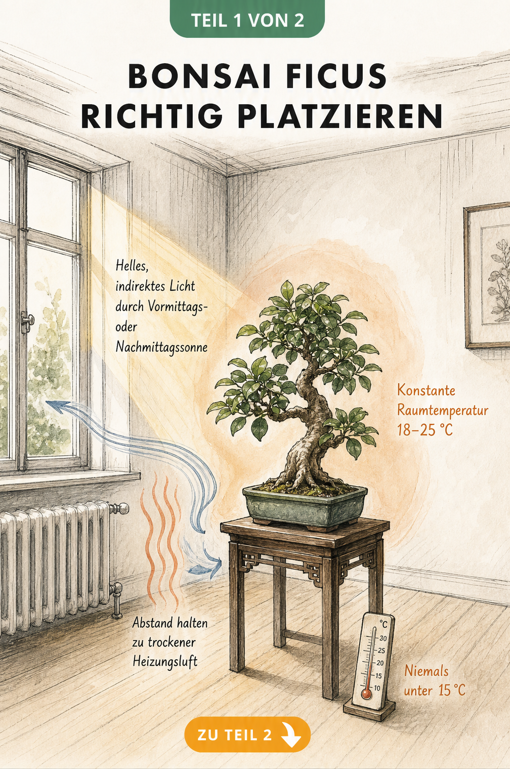 Skizze eines Zimmers mit Bonsai Ficus, die Lichtverhältnisse, Temperaturzonen und Luftströme visualisiert.
