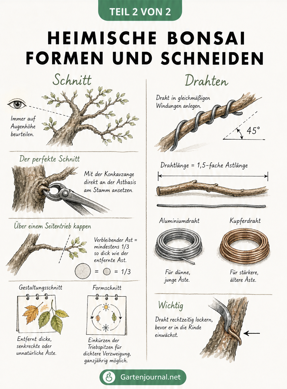 Skizzen zur Bonsai-Schnitttechnik und zum Drahten von Ästen mit Maßangaben und Werkzeugen