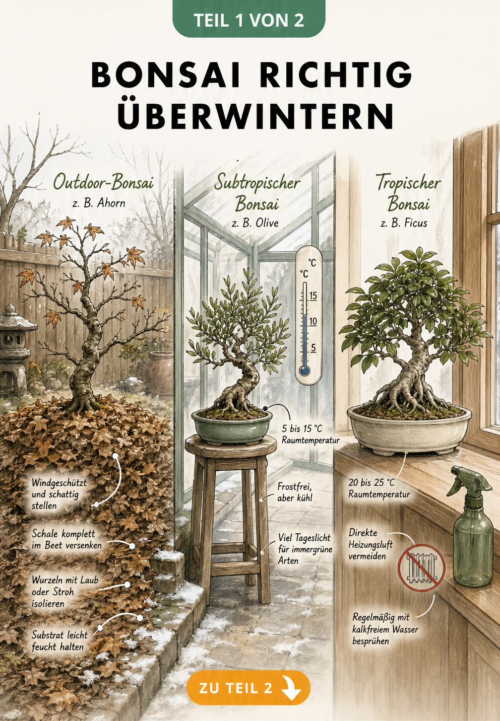 Illustration der drei Überwinterungszonen für Bonsai: Garten für Outdoor-Bonsai, kühler Wintergarten für subtropische Arten und warmes Wohnzimmer für tropische...
