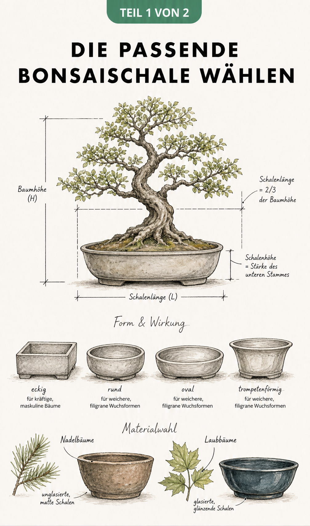 Skizze einer Bonsaischale mit Maßlinien zur Bestimmung der richtigen Proportionen und Formen für Bonsai-Bäume