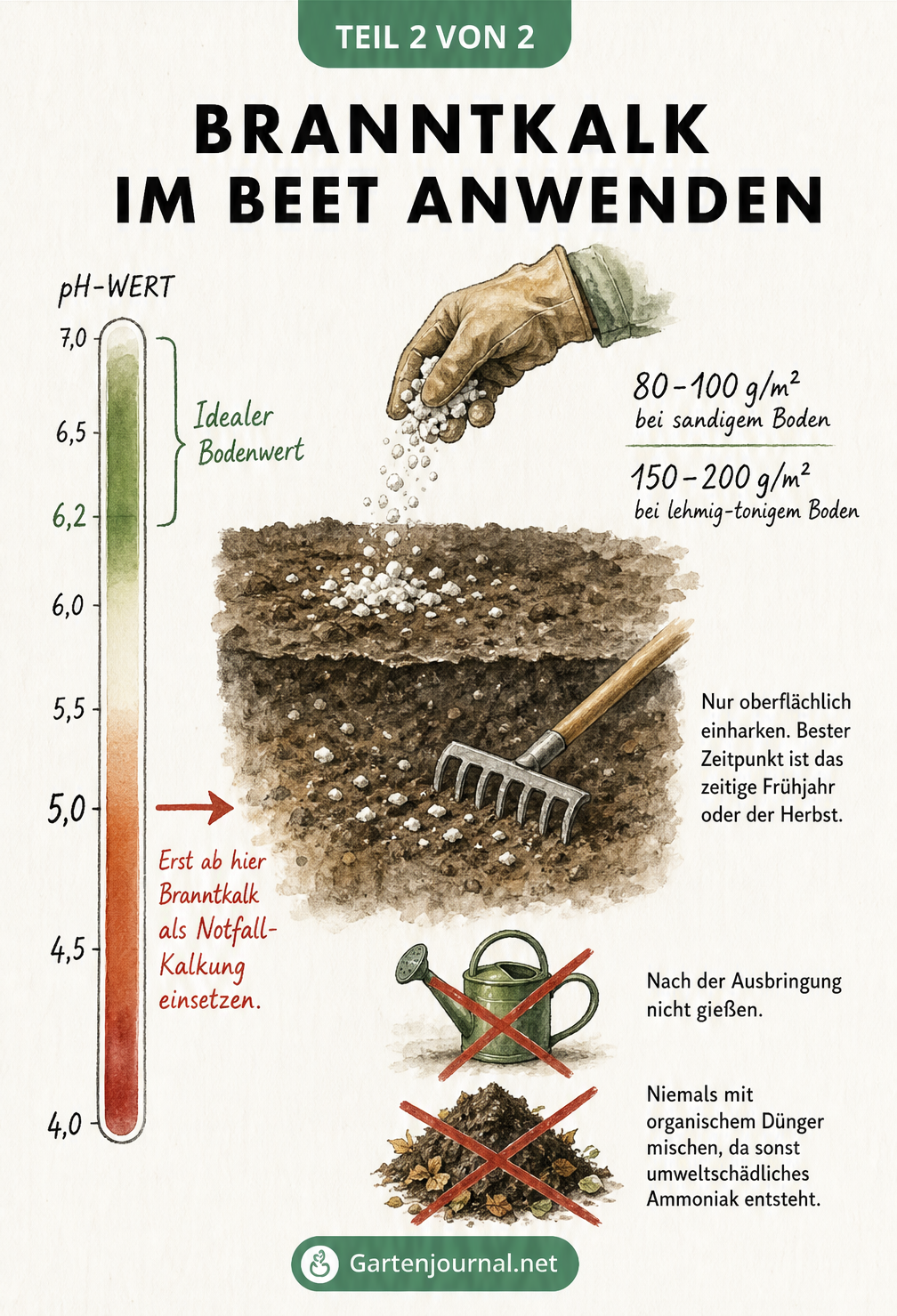 Bodenquerschnitt mit pH-Wert-Skala und Anleitung zur Anwendung von Branntkalk im Beet