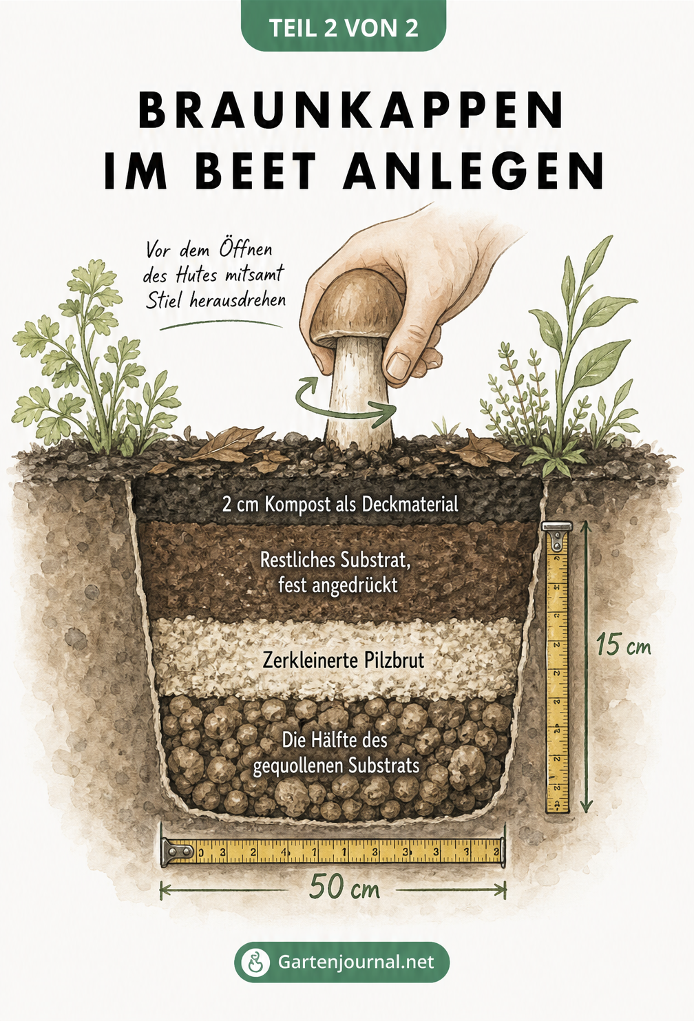 Querschnitt-Illustration eines Gartenbodens mit einer 15 cm tiefen Grube, die die Schichten aus Substrat, Pilzbrut und Kompost für Braunkappen zeigt, sowie die...